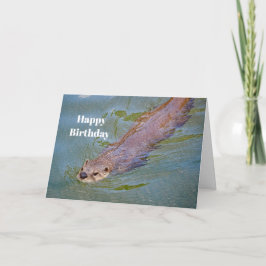 Tarjeta Otter Swimming Wildlife Photo Birday