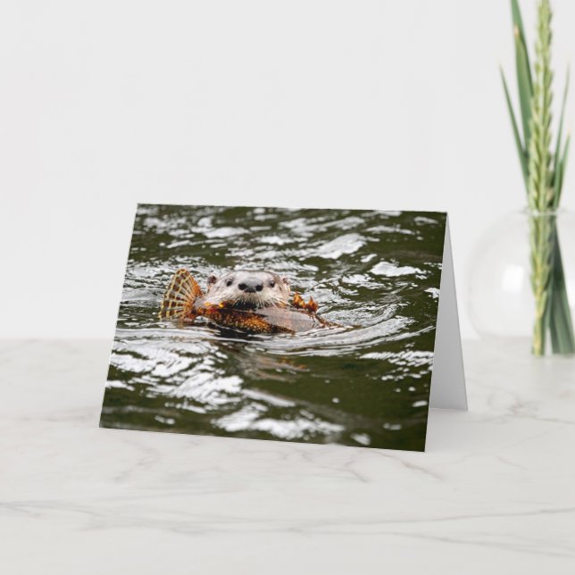 Tarjeta Otter y peces fluviales (Anverso)