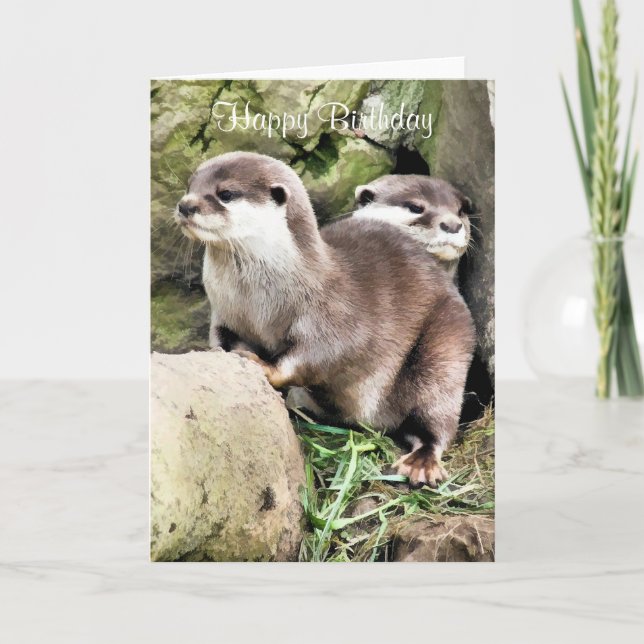TARJETA OTTERS (Anverso)