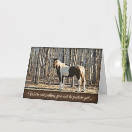 Tarjeta Out to Pasture - Birthday Card