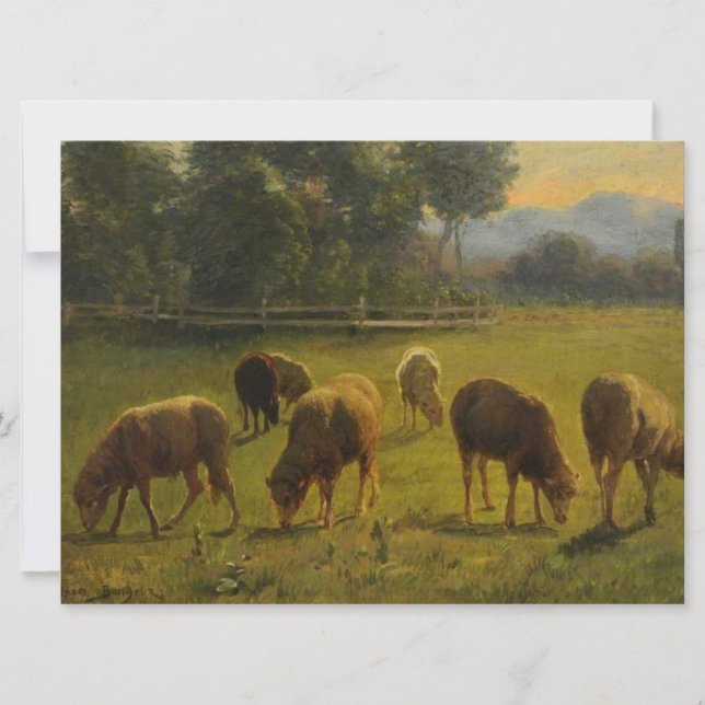 Tarjeta Oveja en paisaje rural (por Rosa Bonheur) (Anverso)