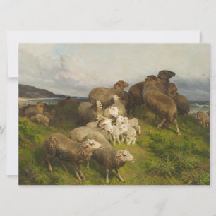 Tarjeta Oveja en una pradera (por August Friedrich Schenck