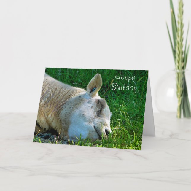 TARJETA OVEJAS (Anverso)