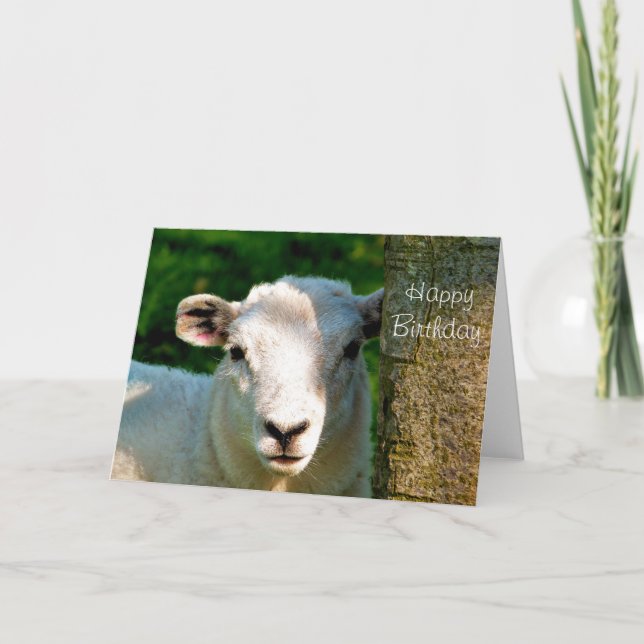 TARJETA OVEJAS CORTAS (Anverso)