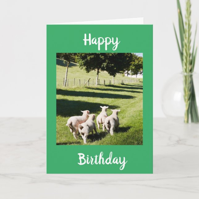 TARJETA OVEJAS DE DIVERSIÓN DICEN **FELIZ CUMPLEAÑOS" (Anverso)