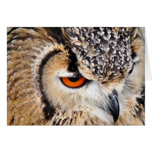 tarjeta OWL (Anverso (Horizontal))