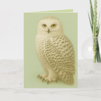 Tarjeta "Owl be missing you" card.