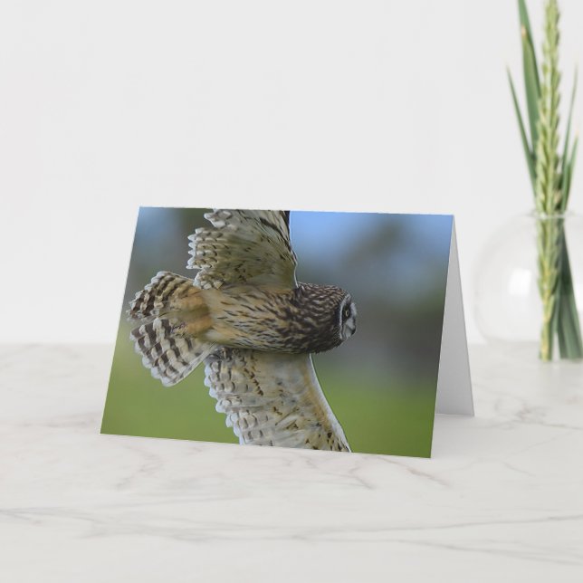 Tarjeta Owl Flying Over (Anverso)