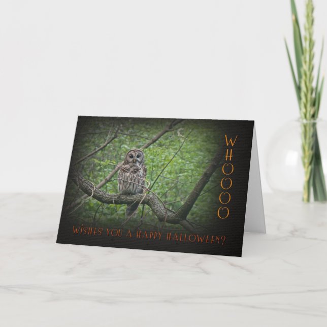 Tarjeta Owl Halloween ¿Quién te desea? (Anverso)
