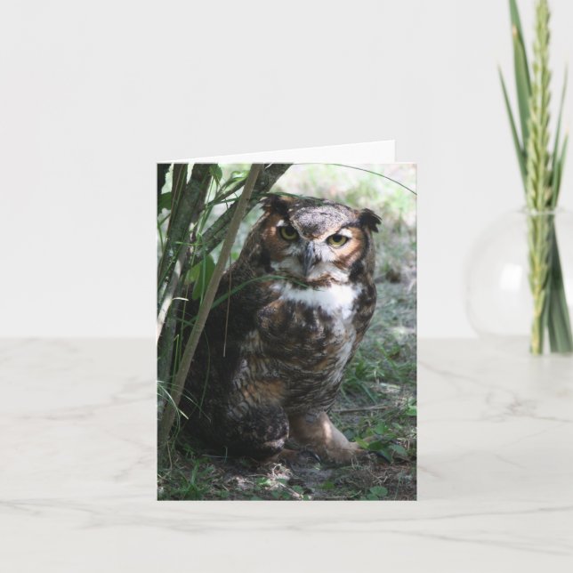 Tarjeta Owl Notecard (Anverso)