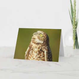 Tarjeta Owl Notecard