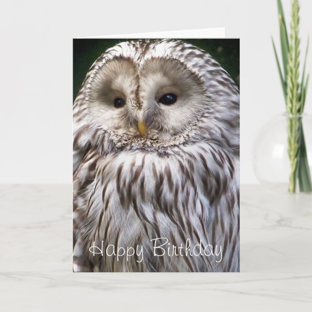 TARJETA OWLS (Anverso)