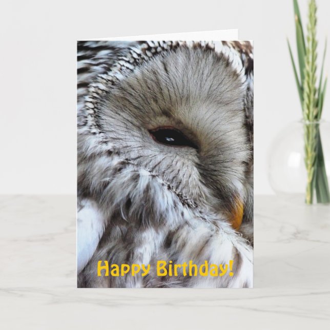 TARJETA OWLS (Anverso)