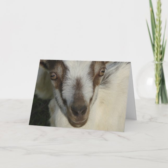 Tarjeta Oye See You (Anverso)