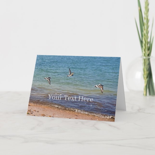 Tarjeta Oyster Catchers en Vuelo Personalizado (Anverso)
