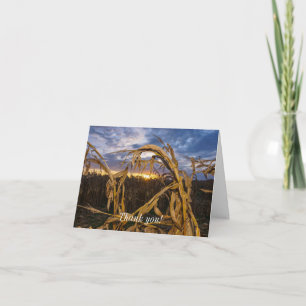 Tarjeta Ozarks Harvest