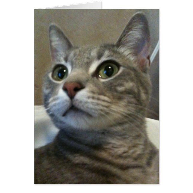 Tarjeta Ozzy 1 (Frente)