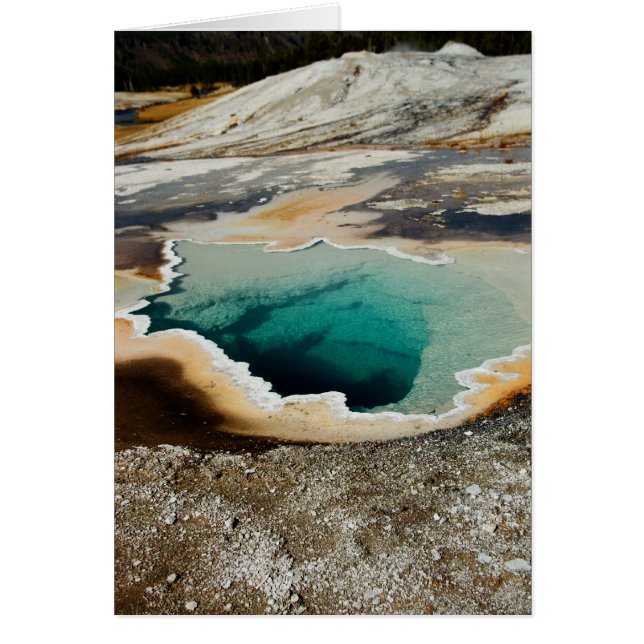 Tarjeta #P4078 (Frente)