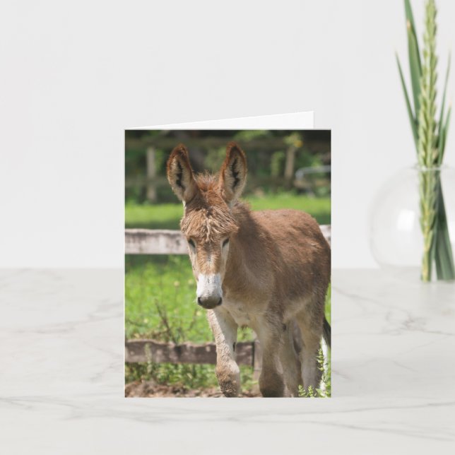 TARJETA P6038047 (Anverso)