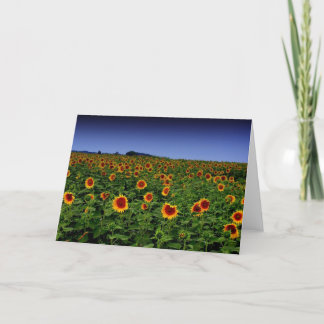 TARJETA P7300068