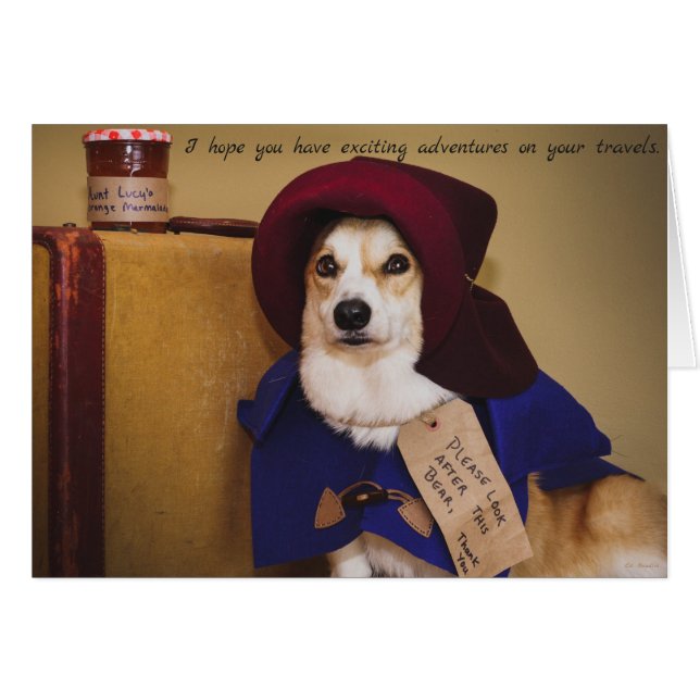 Tarjeta Paddington Good Trip (Anverso (Horizontal))