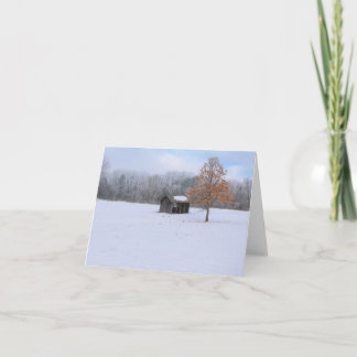 Tarjeta Paddock Cubierto de Nieve