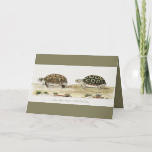 Tarjeta Padloper Tortoise Post-it Notes