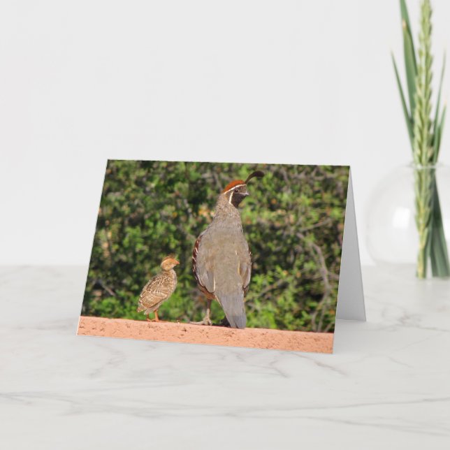 Tarjeta Padres Day Quail~ Kimberly P-Chadwick (Anverso)
