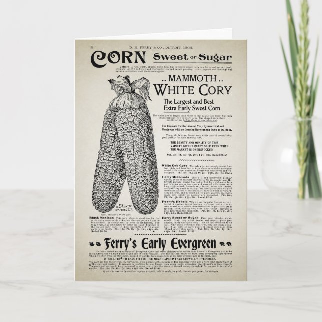 Tarjeta Página Catálogo de jardinería de época (Anverso)