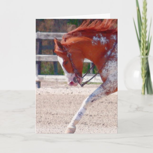 Tarjeta Paint Horse (Anverso)