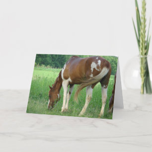 Tarjeta Paint Mare