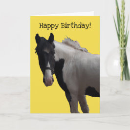 Tarjeta Paint Pony