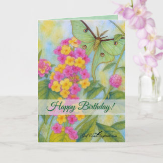 Tarjeta Painted Petals - Lantana Card