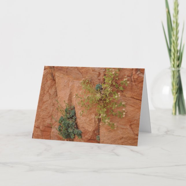 Tarjeta Paisaje (Anverso)