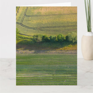 Tarjeta Paisaje aéreo de la granja de animales ingleses