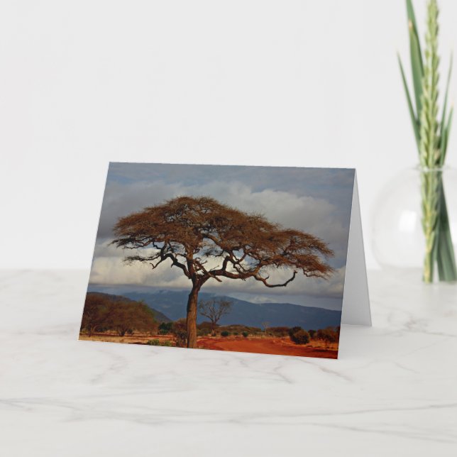 Tarjeta Paisaje africano (Anverso)
