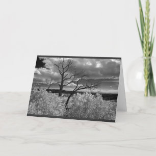 Tarjeta Paisaje blanco y negro del árbol