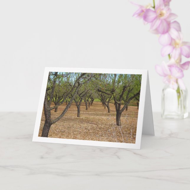 Tarjeta Paisaje de Almond Orchard (Orquídea)