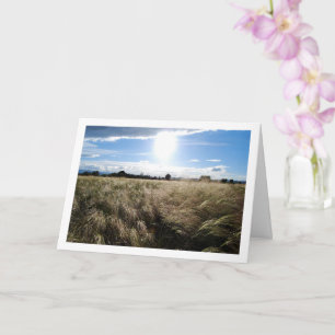 Tarjeta Paisaje de amanecer de hierba en el campo