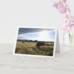 Tarjeta Paisaje de amanecer en el campo