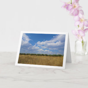 Tarjeta Paisaje de Blue Sky Orchard