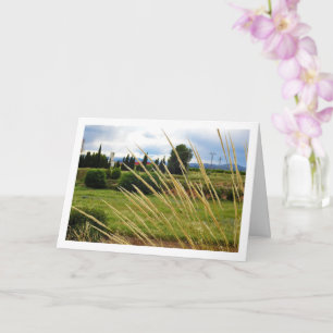 Tarjeta Paisaje de hierba de campo salvaje