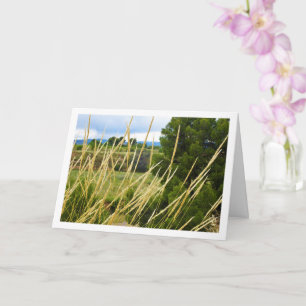Tarjeta Paisaje de hierba de campo salvaje