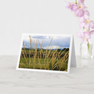 Tarjeta Paisaje de hierba de campo salvaje