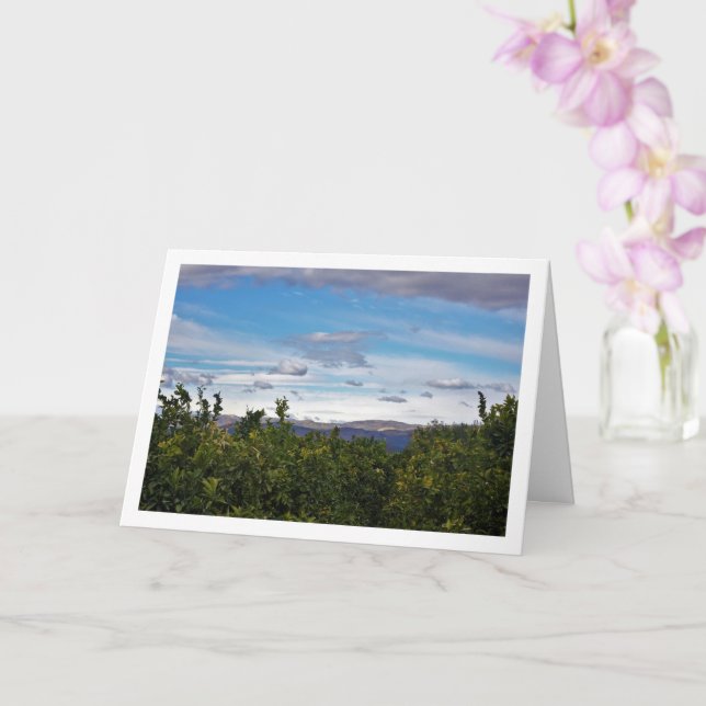 Tarjeta Paisaje de las montañas del cielo azul (Orquídea)