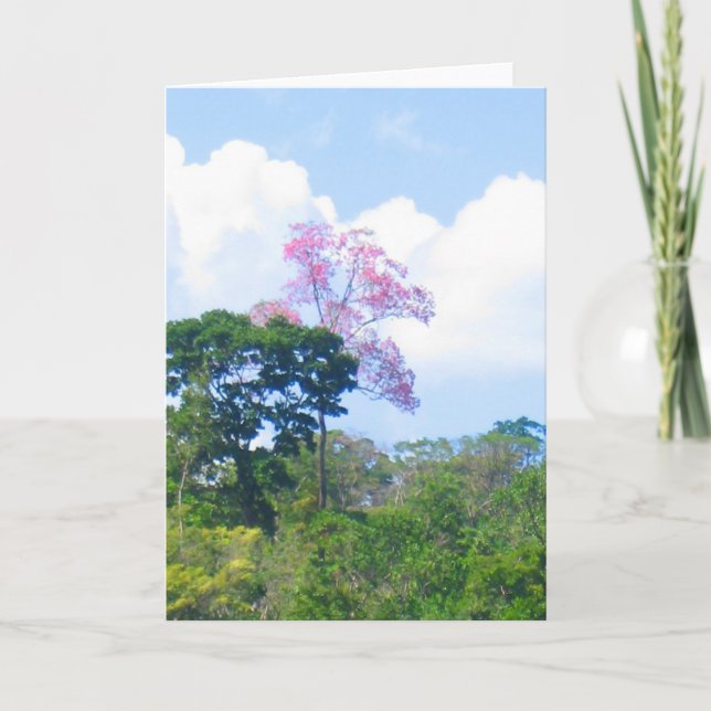 Tarjeta Paisaje de selva de Árbol rosa Venezuela (Anverso)