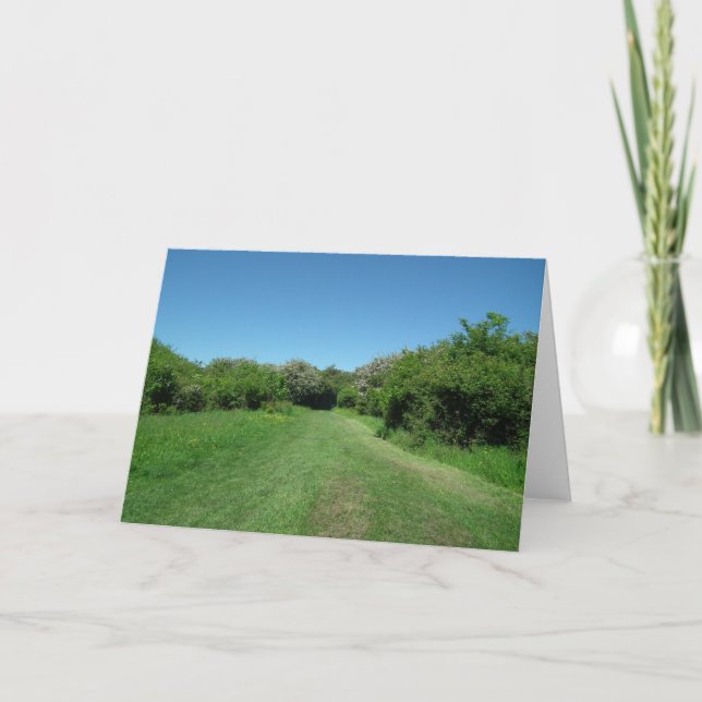 Tarjeta Paisaje de verano (Anverso)