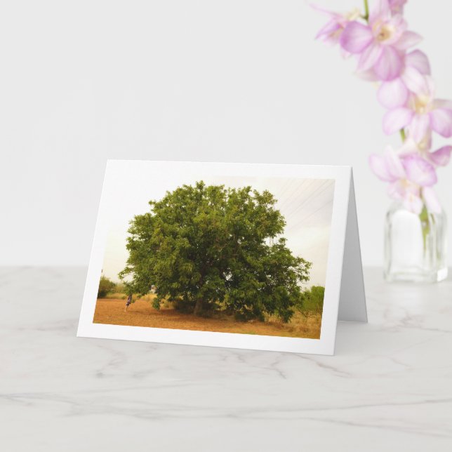 Tarjeta Paisaje del árbol de nueces (Orquídea)