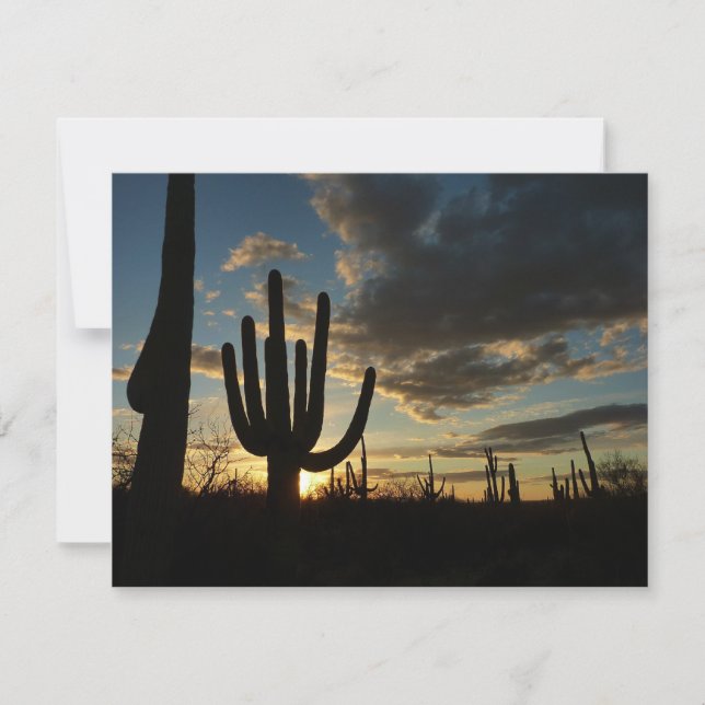 Tarjeta Paisaje del desierto de Saguaro Sunset II Arizona (Anverso)