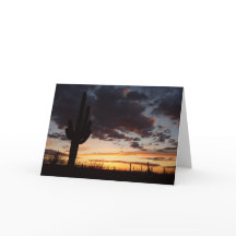 Paisaje del desierto Saguaro Sunset III Arizona